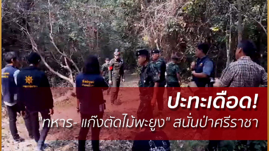 ปะทะเดือด! "ทหาร- แก๊งตัดไม้พะยูง" สนั่นป่าศรีราชา ปะทะเดือด! "ทหาร- แก๊งตัดไม้พะยูง" สนั่นป่าศรีราชา