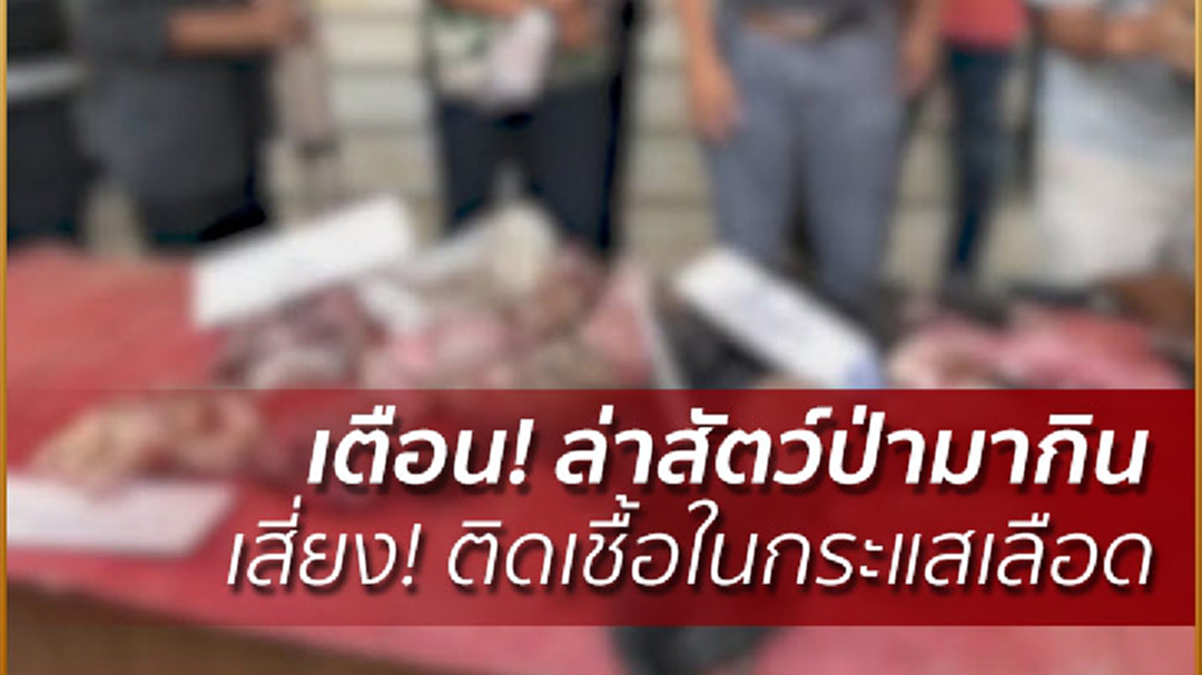 เตือน! ล่าสัตว์ป่ามากิน เสี่ยง! ติดเชื้อในกระแสเลือด เตือน! ล่าสัตว์ป่ามากิน เสี่ยง! ติดเชื้อในกระแสเลือด
