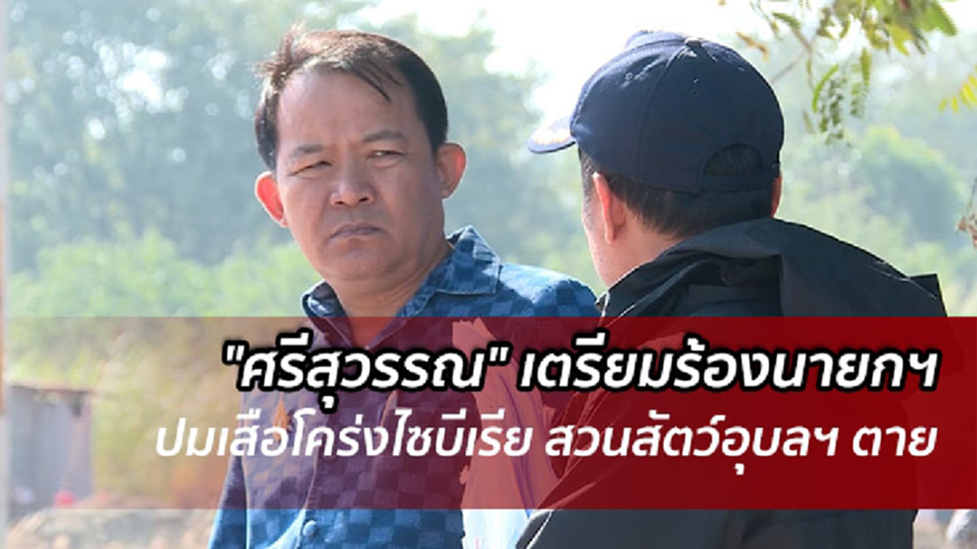 "ศรีสุวรรณ" เตรียมร้องนายกฯ ปมเสือโคร่งตาย 5 ก.พ.นี้ "ศรีสุวรรณ" เตรียมร้องนายกฯ ปมเสือโคร่งตาย 5 ก.พ.นี้