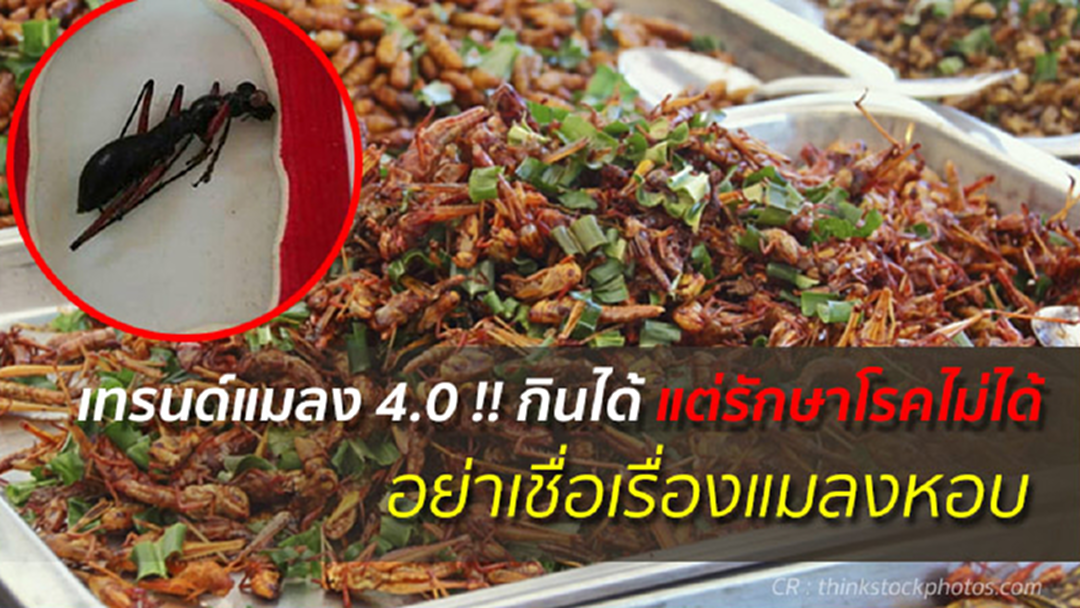 เทรนด์แมลง 4.0!! #ข่าวจริงเช็กแล้ว กินได้ แต่รักษาโรคไม่ได้