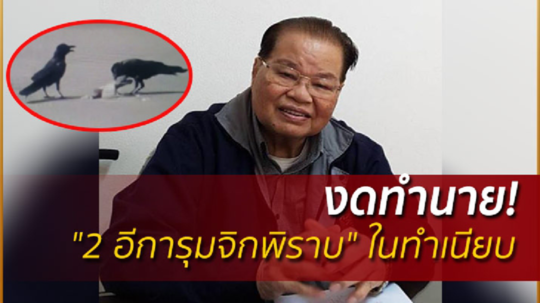 "โหรสว." งดทำนายเหตุ "2 อีการุมจิกพิราบ" จนตายที่ทำเนียบ