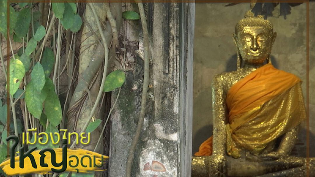 สุดอันซีน "โบสถ์ในต้นไม้"ค่ายบางกุ้ง สุดอันซีน "โบสถ์ในต้นไม้"ค่ายบางกุ้ง