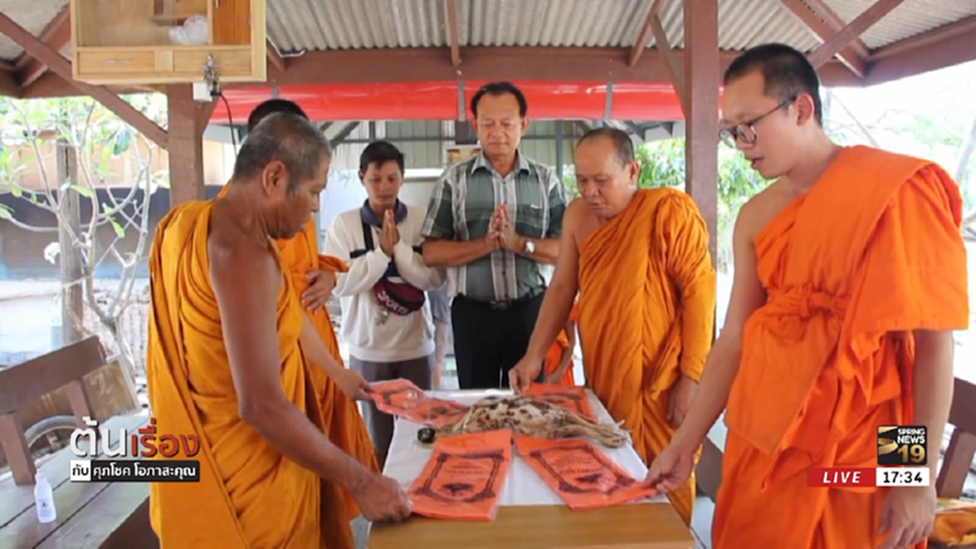ปิดตำนาน! "เจ้าบุญมา" ไก่ไร้หัวเสียชีวิตแล้ว
