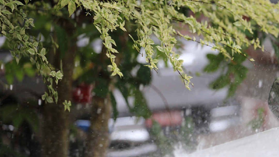 ไทยตอนบน-กทม.ฝนลดแล้ว อุตุฯเตือน! 5 จังหวัดใต้มีฝนเพิ่ม ไทยตอนบน-กทม.ฝนลดแล้ว อุตุฯเตือน! 5 จังหวัดใต้มีฝนเพิ่ม