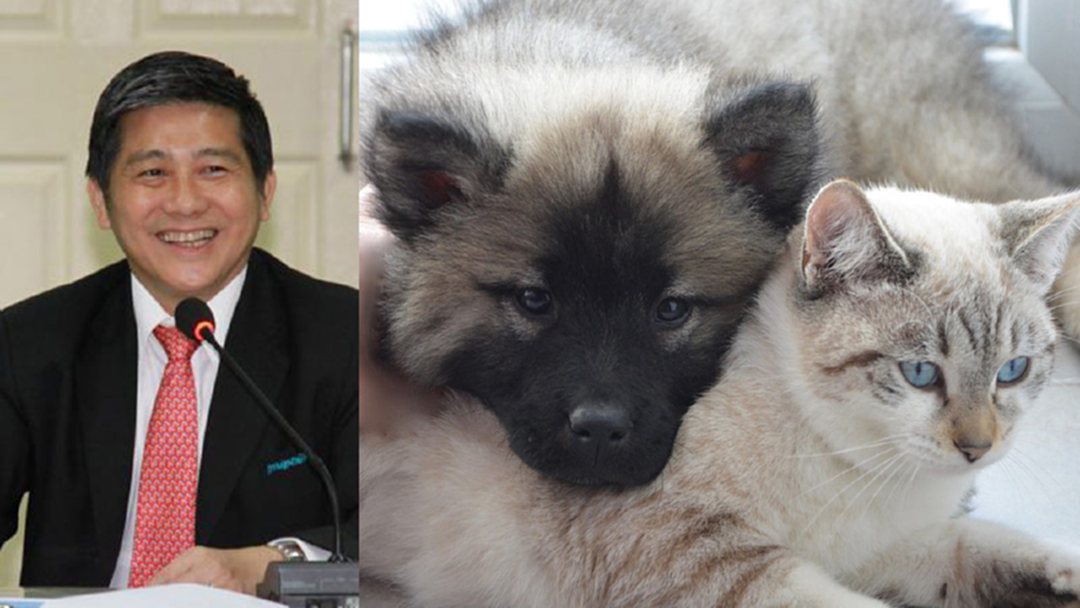 ปิ๊งไอเดีย! ปลัดสธ.เล็งเก็บภาษีคนเลี้ยง'หมา-แมว' ปิ๊งไอเดีย! ปลัดสธ.เล็งเก็บภาษีคนเลี้ยง'หมา-แมว'