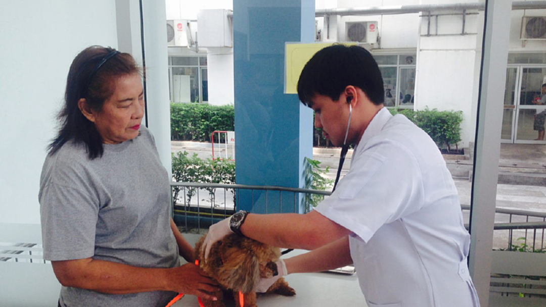 แพทย์จุฬาเตือน! ประชาชนอย่าซื้อ”วัคซีนพิษสุนัข”มาฉีดเอง