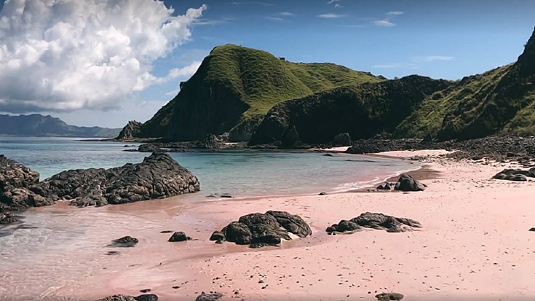 "หาดสีชมพู" ดูได้ที่อินโดนีเซีย "หาดสีชมพู" ดูได้ที่อินโดนีเซีย
