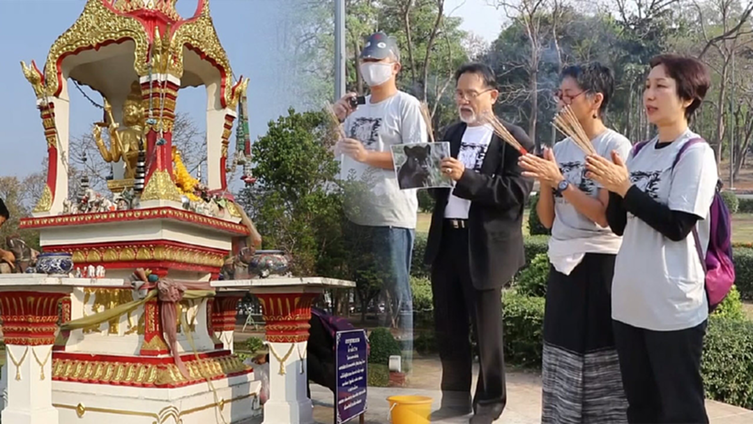 ชาวเชียงใหม่เหลืออด ร้องศาลพระพรหมทวงคดีเสือดำ ชาวเชียงใหม่เหลืออด ร้องศาลพระพรหมทวงคดีเสือดำ
