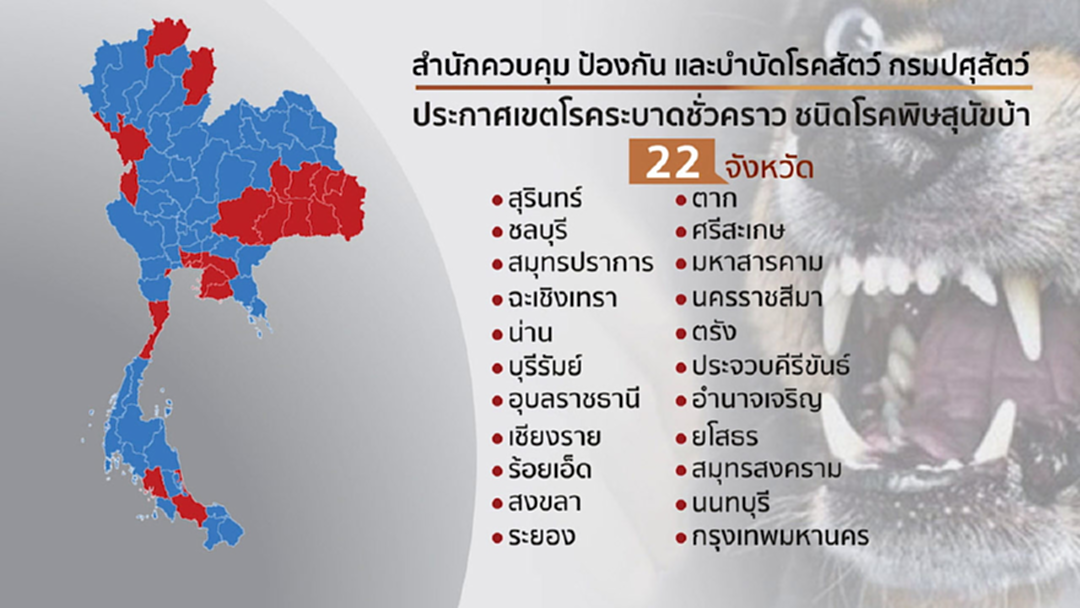 ข่าวเด่นวันนี้ : เฝ้าระวัง ! พิษสุนัขบ้ากระจายทั่วไทย สัตว์ติดเชื้อพุ่ง 1.5เท่า ข่าวเด่นวันนี้ : เฝ้าระวัง ! พิษสุนัขบ้ากระจายทั่วไทย สัตว์ติดเชื้อพุ่ง 1.5เท่า