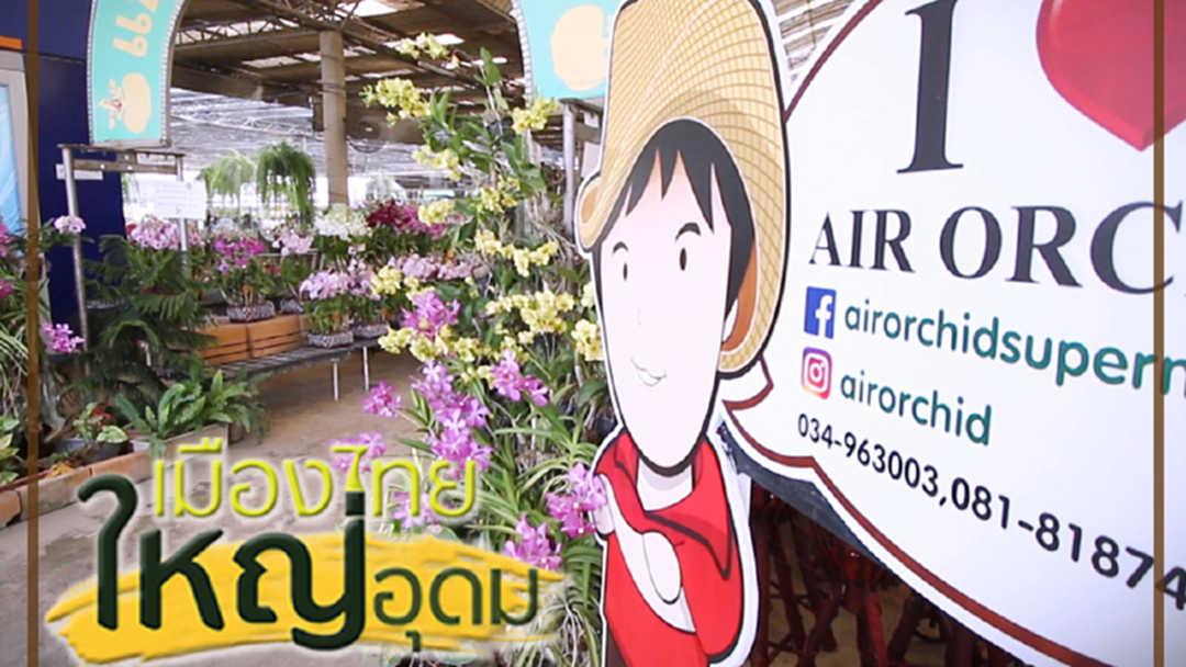 แอร์ออร์คิดส์ ซุปเปอร์มาร์เก็ตกล้วยไม้ แห่งเเรกของไทย แอร์ออร์คิดส์ ซุปเปอร์มาร์เก็ตกล้วยไม้ แห่งเเรกของไทย