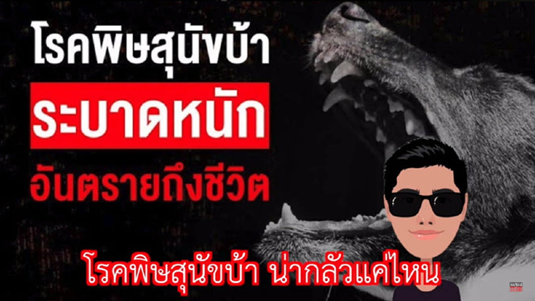 "เตือนเจ้าเอย"ครูตรังแปลงเนื้อเพลง กระตุ้น!คนไทยใส่ใจโรคพิษสุนัขบ้า "เตือนเจ้าเอย"ครูตรังแปลงเนื้อเพลง กระตุ้น!คนไทยใส่ใจโรคพิษสุนัขบ้า