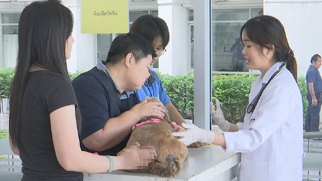 "จุฬาฯ" ฉีดวัคซีนป้องกันโรคพิษสุนัขบ้า ฟรี! "จุฬาฯ" ฉีดวัคซีนป้องกันโรคพิษสุนัขบ้า ฟรี!