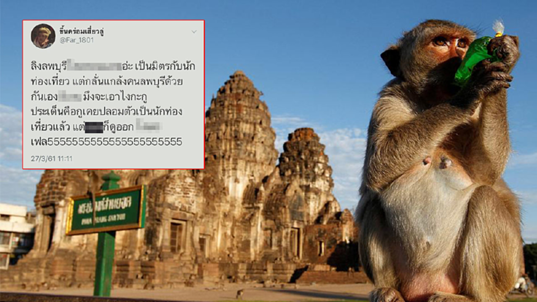 ชาวลพบุรีแฉ! ลิงพระปราง 3 ยอดทำตัวเป็นมาเฟีย 2 มาตรฐาน ชาวลพบุรีแฉ! ลิงพระปราง 3 ยอดทำตัวเป็นมาเฟีย 2 มาตรฐาน