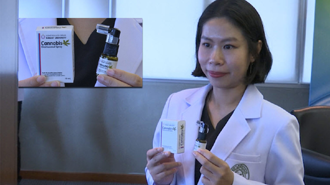 มันมีดี! ม.รังสิตยื่นปลดล็อคกัญชา แก้โรคมะเร็ง