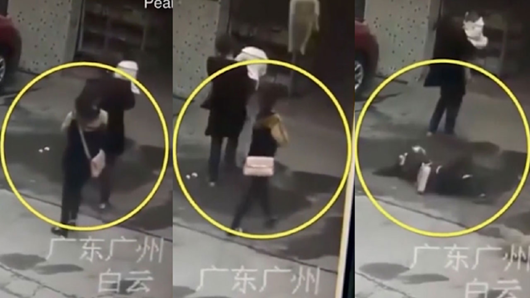 ร่วงมาจากไหน? สาวสลบคาพื้นเพราะสุนัขตกใส่หัว
