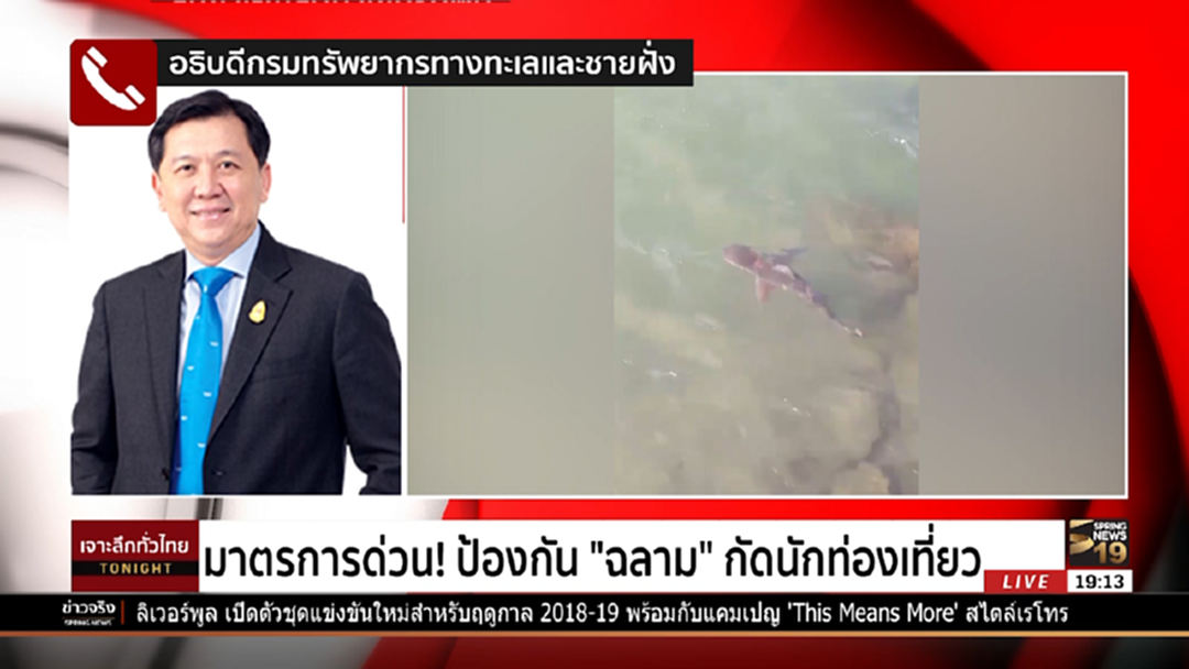 มาตรการด่วน! ป้องกัน "ฉลาม" กัดนักท่องเที่ยว