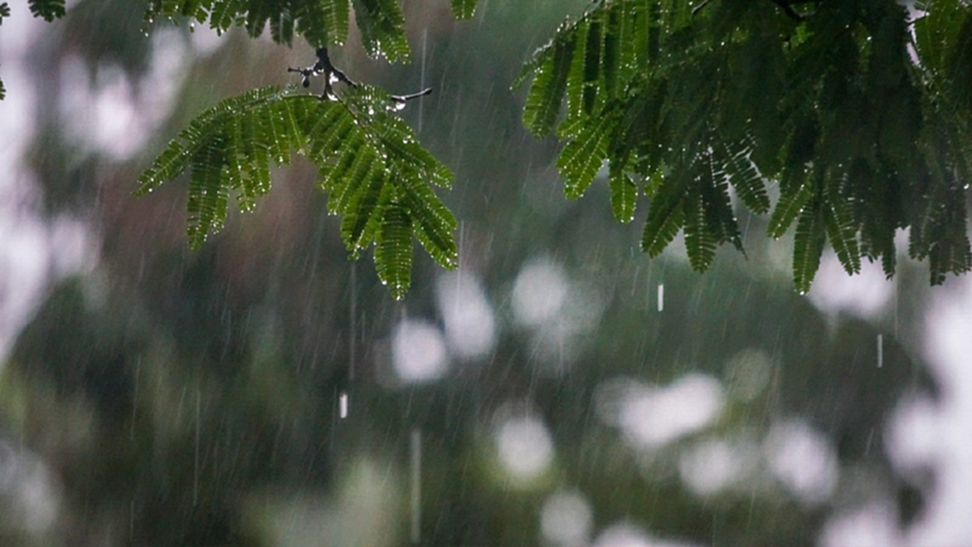 อุตุฯเผย "ภาคเหนือ-อีสาน-ตะวันออก-กลาง" เตรียมรับมือฝนฟ้าคะนอง อุตุฯเผย "ภาคเหนือ-อีสาน-ตะวันออก-กลาง" เตรียมรับมือฝนฟ้าคะนอง