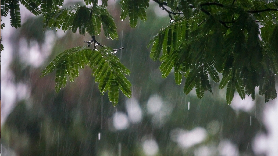 ประเทศไทยยังเจอฝนต่อเนื่อง ทะเลอันดามันคลื่นสูง ประเทศไทยยังเจอฝนต่อเนื่อง ทะเลอันดามันคลื่นสูง
