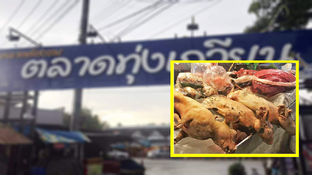 โจ่งครึ่ม! ตลาดทุ่งเกวียนนำซากสัตว์ป่าวางขายเกลื่อน โจ่งครึ่ม! ตลาดทุ่งเกวียนนำซากสัตว์ป่าวางขายเกลื่อน
