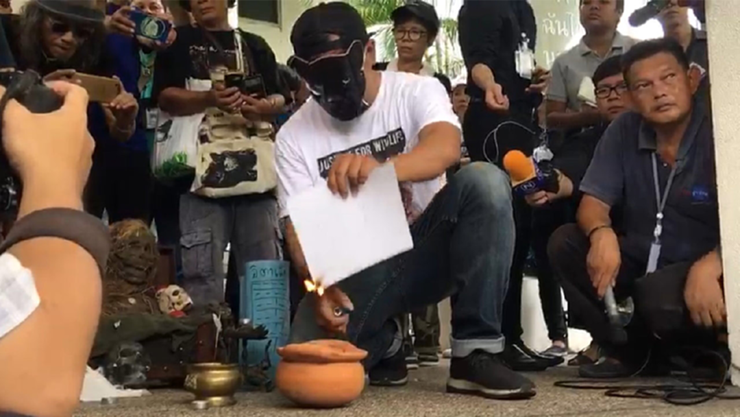 100 วัน เสือดำตาย ทีชาล่าทำพิธีสาปแช่งคนฆ่าเสือดำ 100 วัน เสือดำตาย ทีชาล่าทำพิธีสาปแช่งคนฆ่าเสือดำ