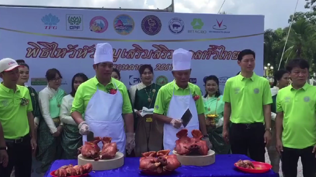 เซ่นหัวหมู 1,198 หัว ทำพิธีไหว้หัวหมูเสริมสิริมงคลทั่วไทย เซ่นหัวหมู 1,198 หัว ทำพิธีไหว้หัวหมูเสริมสิริมงคลทั่วไทย