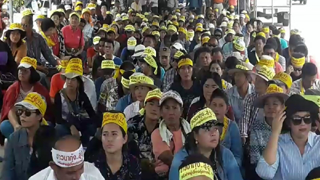 เกษตรกร8จังหวัดภาคใต้ กดดันรัฐบาลแก้ปัญหาราคากุ้งตกต่ำ เกษตรกร8จังหวัดภาคใต้ กดดันรัฐบาลแก้ปัญหาราคากุ้งตกต่ำ