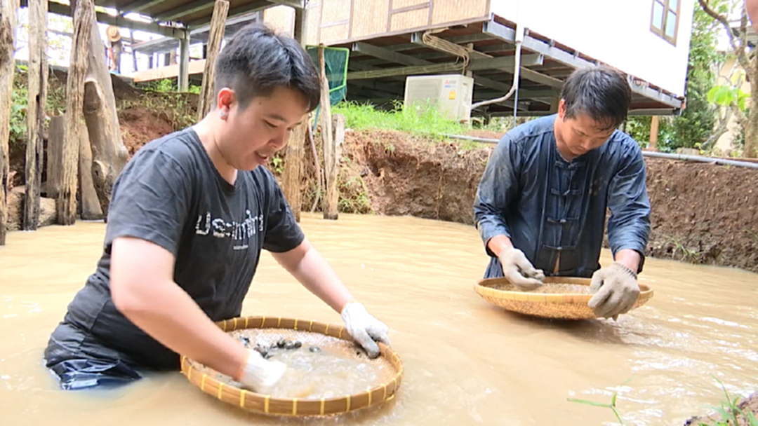 หาพลอยแบบโบราณจากชาวเหมืองตัวจริง