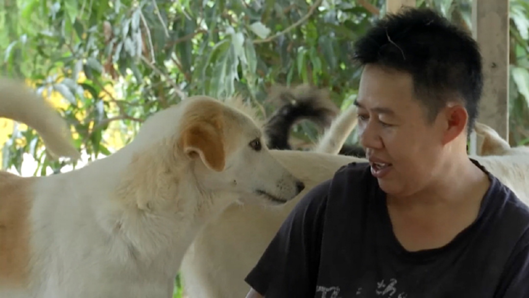 "ป้าเลี้ยงลิง" ยังมีความหวังได้ลิงมาดูแล