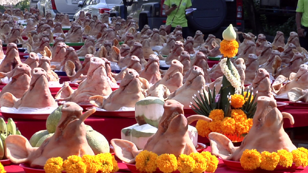 6 จังหวัด ทำพิธีไหว้หัวหมู ทำลายสถิติโลก!