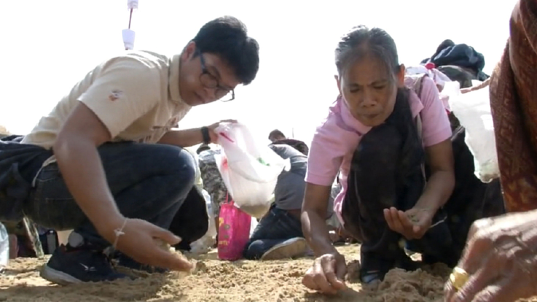 เกษตรกรแห่เก็บเมล็ดพันธุ์ข้าวในพระราชพิธีพืชมงคล