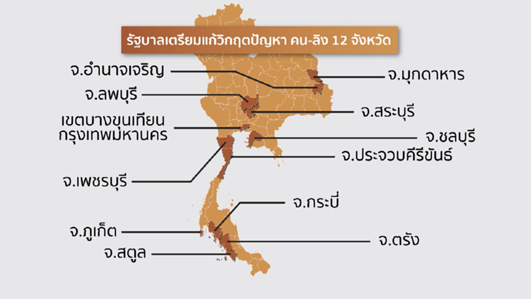 ชาวเพชรบูรณ์ร้อง! หน่วยงานรัฐช่วย พบลิงหลงฝูงกินผลไม้ชาวบ้าน ชาวเพชรบูรณ์ร้อง! หน่วยงานรัฐช่วย พบลิงหลงฝูงกินผลไม้ชาวบ้าน