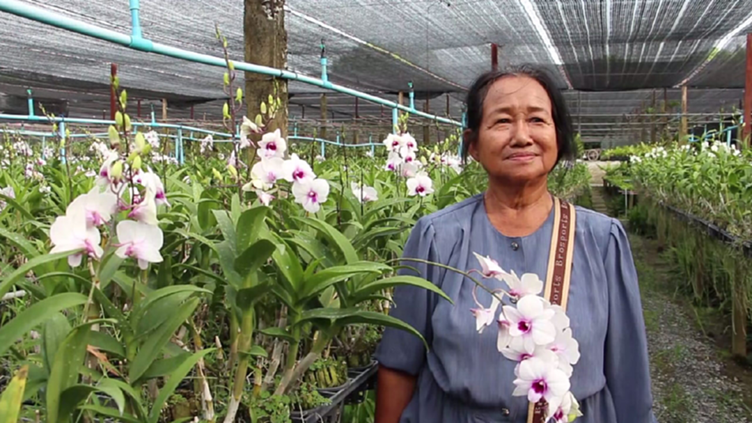 อดีตข้าราชการ“ปลูกกล้วยไม้”สร้างรายได้ต่อเดือนกว่าครึ่งแสน!