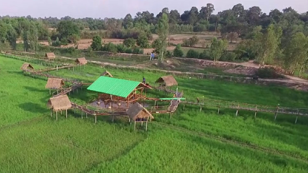 สวยแปลกตา! ไอเดียร้านอาหารลอยฟ้ากลางทุ่งนาข้าว