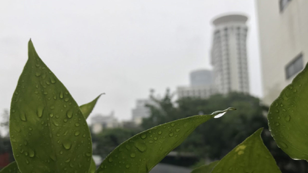 ทั่วไทยยังคงมีฝนฟ้าคะนอง ขอให้ประชาชนระวังอันตราย ทั่วไทยยังคงมีฝนฟ้าคะนอง ขอให้ประชาชนระวังอันตราย