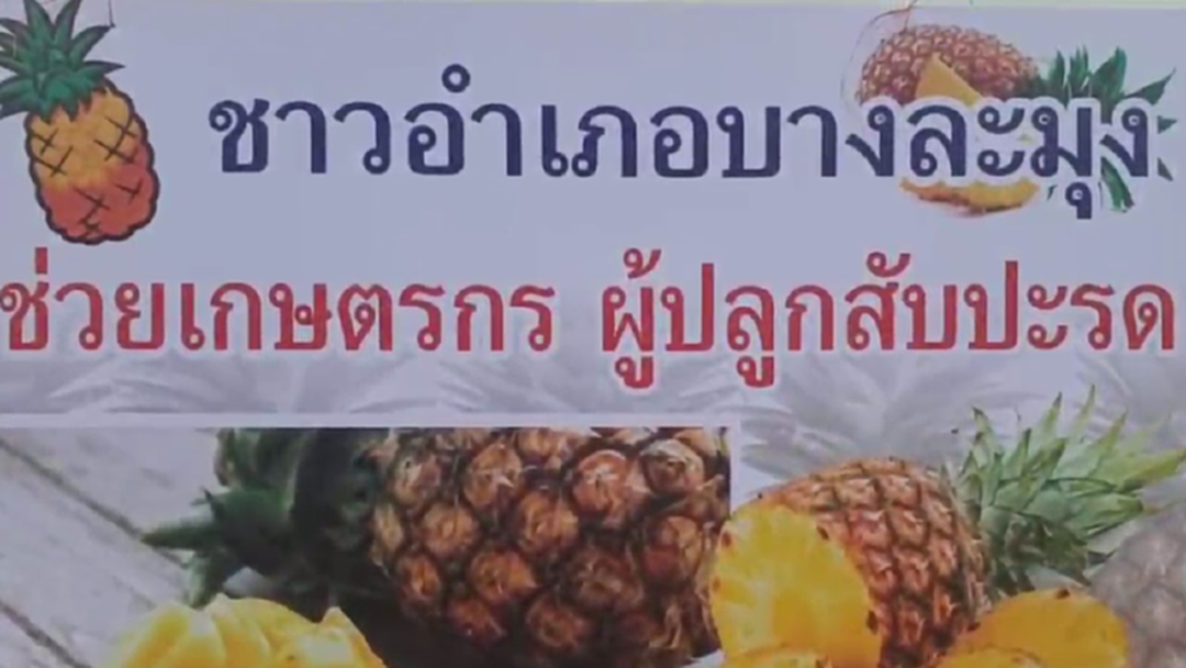 นายอำเภอบางละมุงใจดี! เปิดพื้นที่ขายสับปะรดช่วยเกษตรกรแก้ปัญหาราคาตกต่ำ นายอำเภอบางละมุงใจดี! เปิดพื้นที่ขายสับปะรดช่วยเกษตรกรแก้ปัญหาราคาตกต่ำ