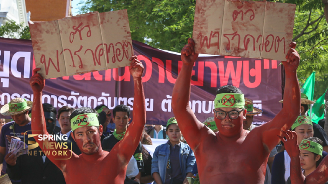 ประมวลภาพ "ชุมนุมแบนสารพิษร้ายแรง"
