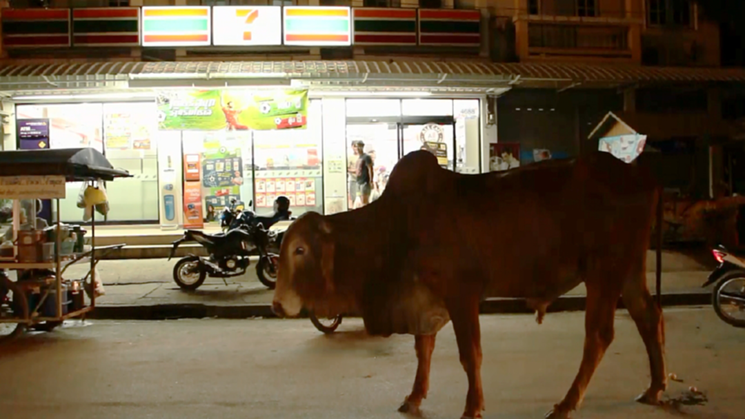 หิวเมื่อไหร่ก็แวะมา! วัวเปรี้ยวเที่ยวดึกเดินตลาด-หาอาหารยามราตรี