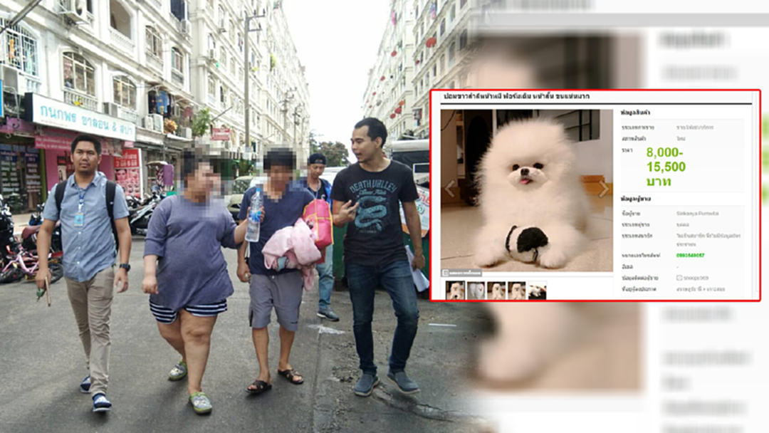 กองปราบ จ่อคุมตัว 2 สามี - ภรรยา หลอกขายหมา - แมว ผ่านเว็บไซต์ฝากขังศาล