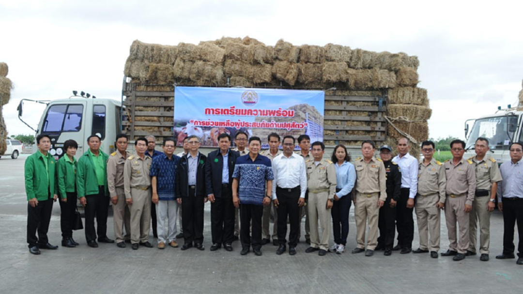ปล่อยขบวนรถ “โครงการคลังชุมชน” ด้านปศุสัตว์ ปล่อยขบวนรถ “โครงการคลังชุมชน” ด้านปศุสัตว์