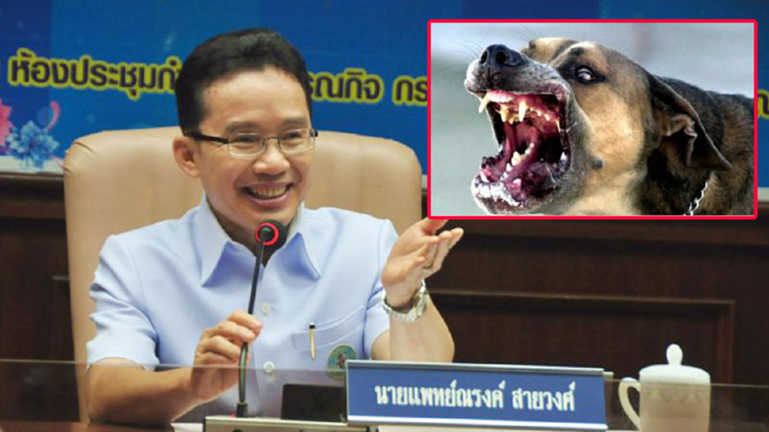 คุมเข้ม! เปิดศูนย์บัญชาการภาวะฉุกเฉิน ป้องกันควบคุมโรคพิษสุนัขบ้า