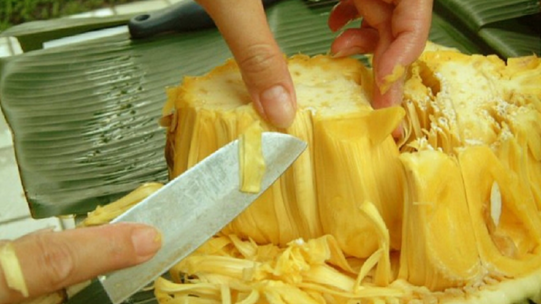 สรรพคุณลับของ "ขนุน" ที่คุณอาจไม่เคยรู้