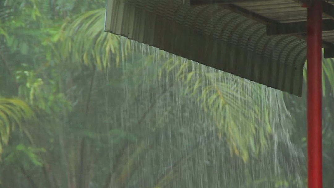 เหนือ-อีสาน ฝนยังตกหนัก แม้ "เซินติญ" อ่อนกำลังเป็นดีเปรสชั่น เหนือ-อีสาน ฝนยังตกหนัก แม้ "เซินติญ" อ่อนกำลังเป็นดีเปรสชั่น
