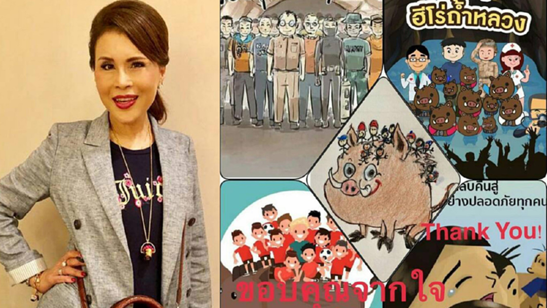 ภารกิจสำเร็จ! ทูลกระหม่อมฯ ทรงขอบคุณฮีโร่ ช่วยพา 13หมูป่ากลับบ้าน ภารกิจสำเร็จ! ทูลกระหม่อมฯ ทรงขอบคุณฮีโร่ ช่วยพา 13หมูป่ากลับบ้าน