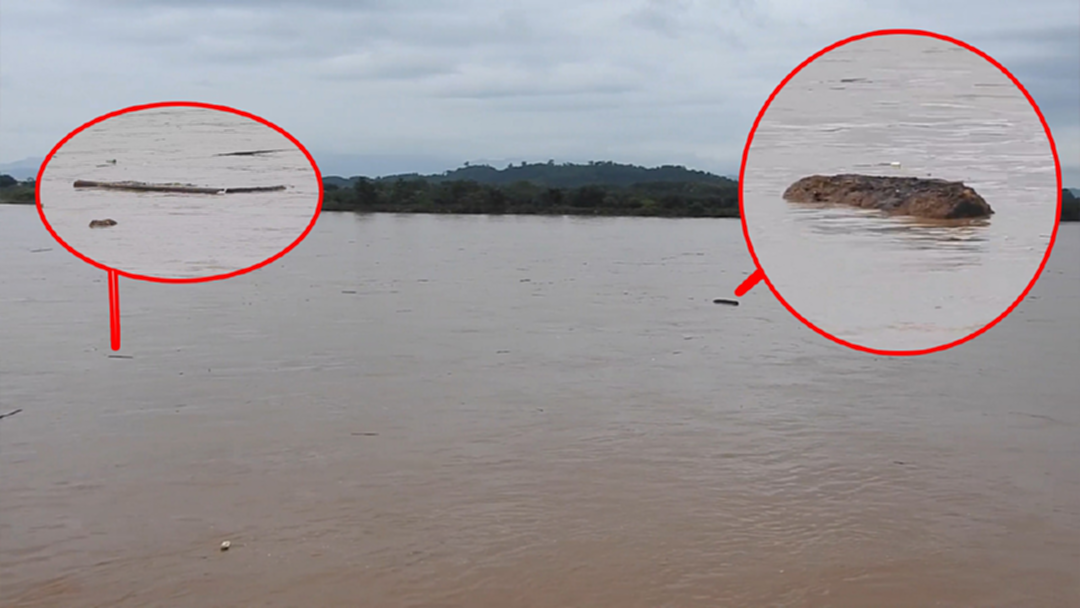 ท่อนไม้ลอยเกลื่อนลำน้ำโขง "เชียงแสน" เตือนเรือระวังพุ่งชน [คลิป]
