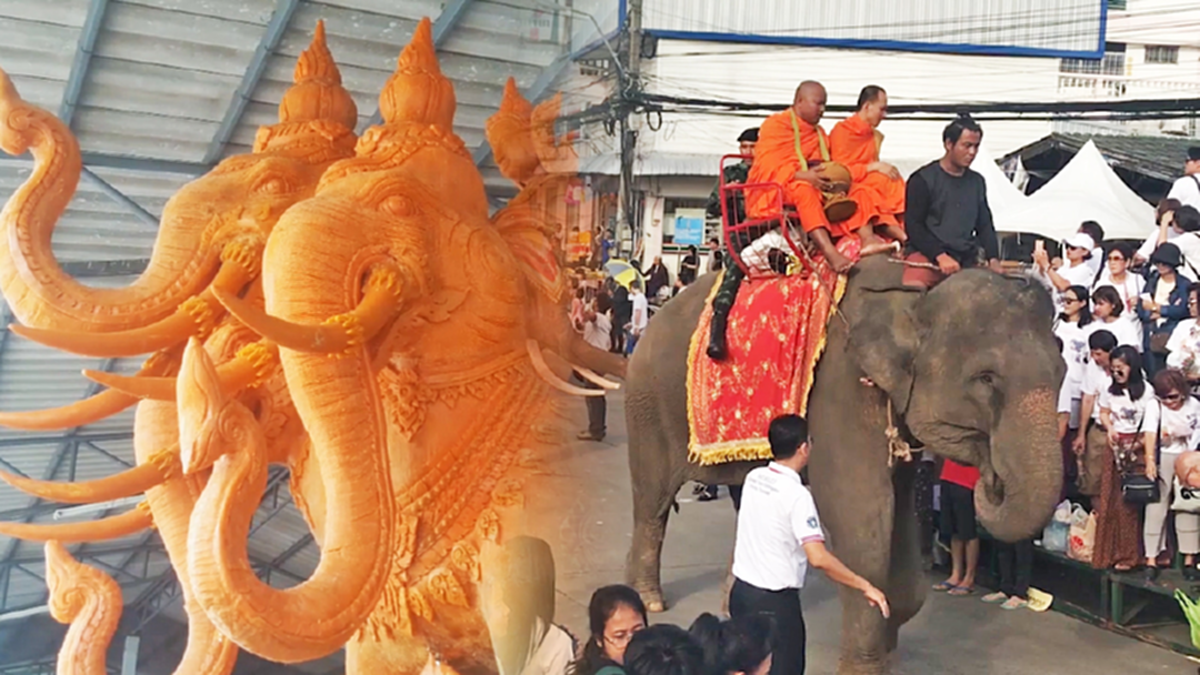 ที่เดียวในโลก! สุรินทร์จัดใหญ่ตักบาตรบนหลังช้าง ชมขบวนเทียนอลังการ ที่เดียวในโลก! สุรินทร์จัดใหญ่ตักบาตรบนหลังช้าง ชมขบวนเทียนอลังการ
