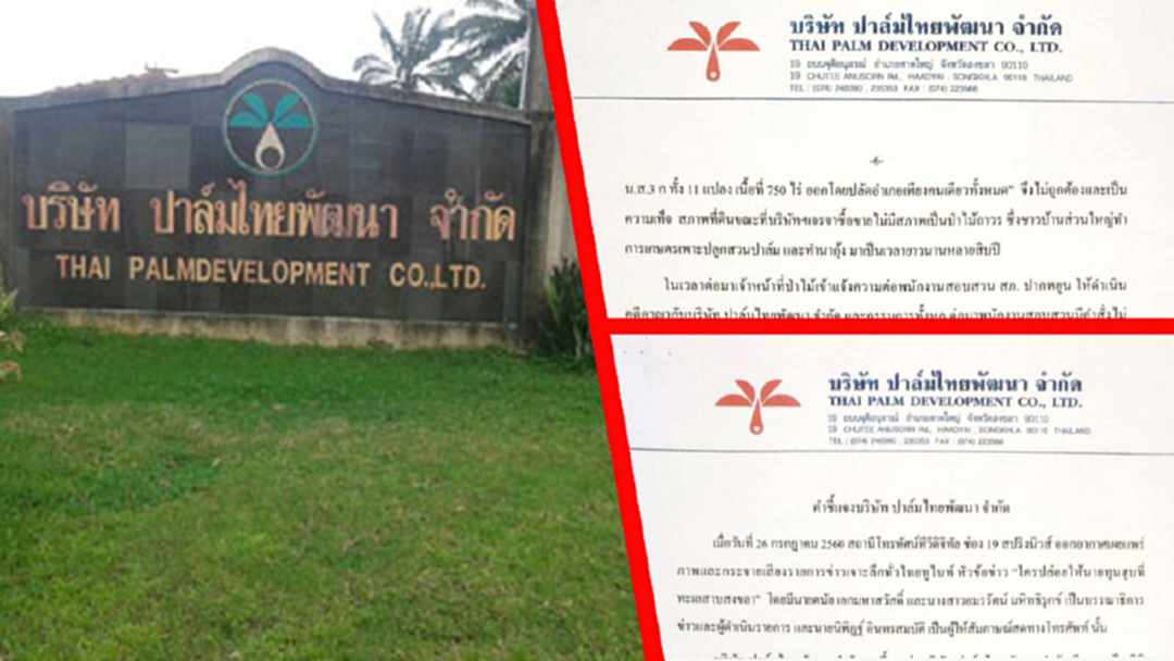 คำชี้แจง "ปาล์มไทยพัฒนา" ยัน นายหน้าที่ดิน ไม่ใช่นอมินี