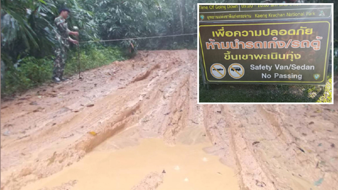 กรมอุทยานฯ สั่งระงับปรับปรุงสร้างถนนพะเนินทุ่ง กรมอุทยานฯ สั่งระงับปรับปรุงสร้างถนนพะเนินทุ่ง