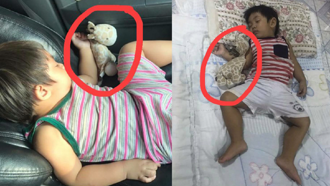 ช่วยน้องด้วย!! ประกาศตามหา ตุ๊กตายีราฟ ตัวโปรดของลูกชาย ช่วยน้องด้วย!! ประกาศตามหา ตุ๊กตายีราฟ ตัวโปรดของลูกชาย