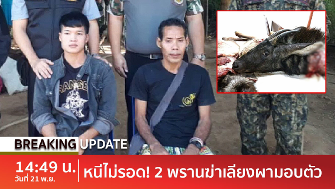 BreakingNews : มอบตัวแล้ว 2พรานป่ายิงเลียงผาป่าแก่งกระจาน โดน4ข้อหาหนัก [คลิป]
