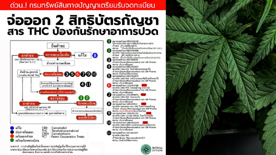 ไบโอไทยแฉเพิ่ม! คำขอสิทธิบัตรกัญชา ไบโอไทยแฉเพิ่ม! คำขอสิทธิบัตรกัญชา